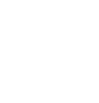 SOC 2 Type II